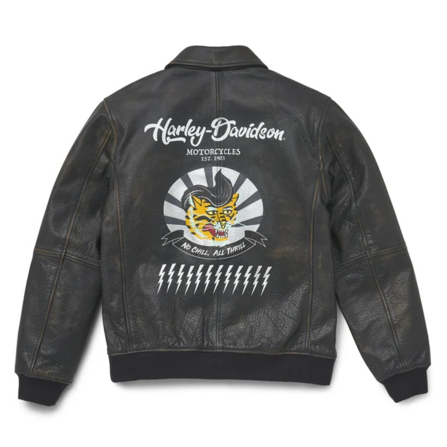 Harley-Davidson - Bomber in Pelle Archer da Uomo - 97017-22VM